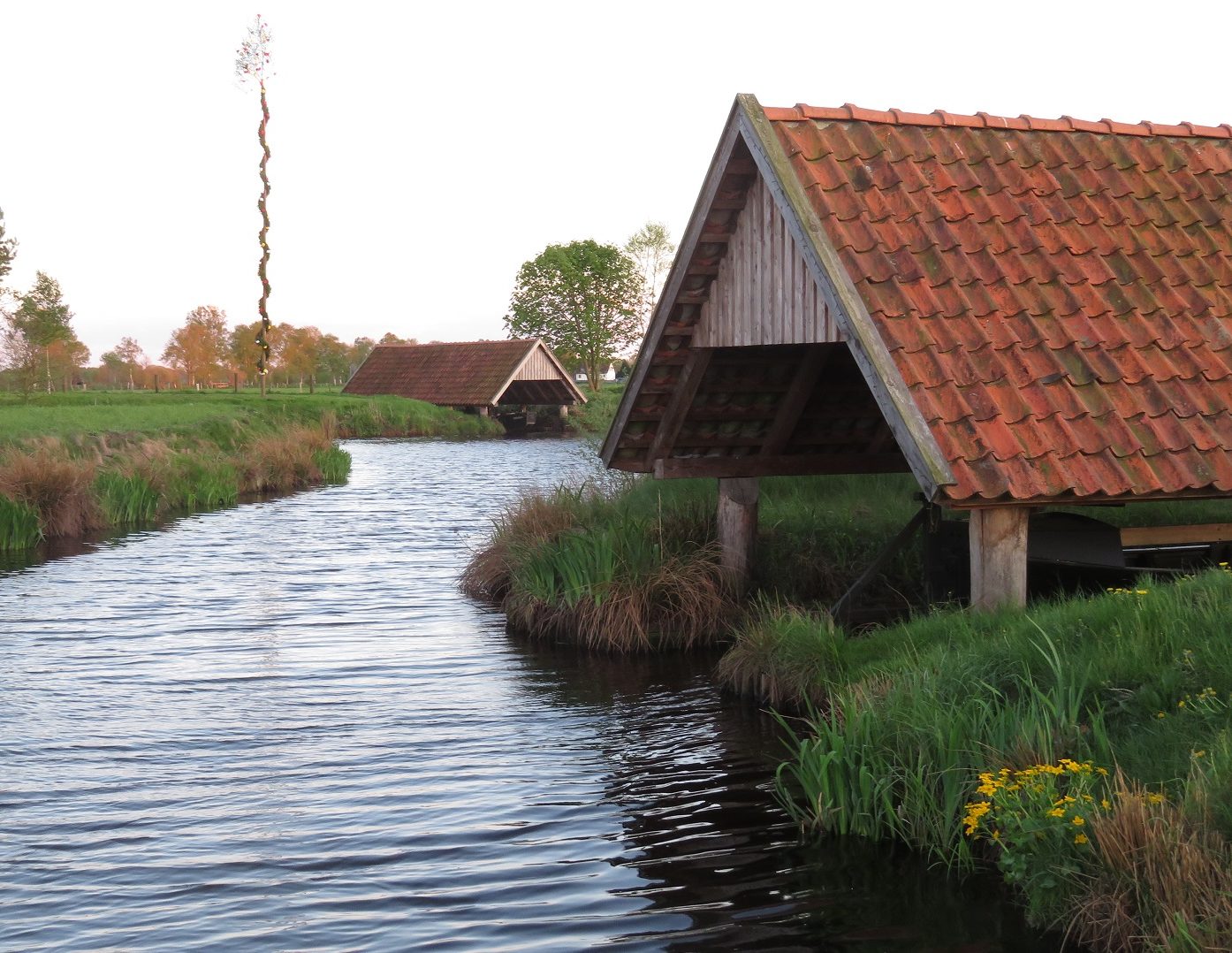 cropped-Bild1_B.jpg